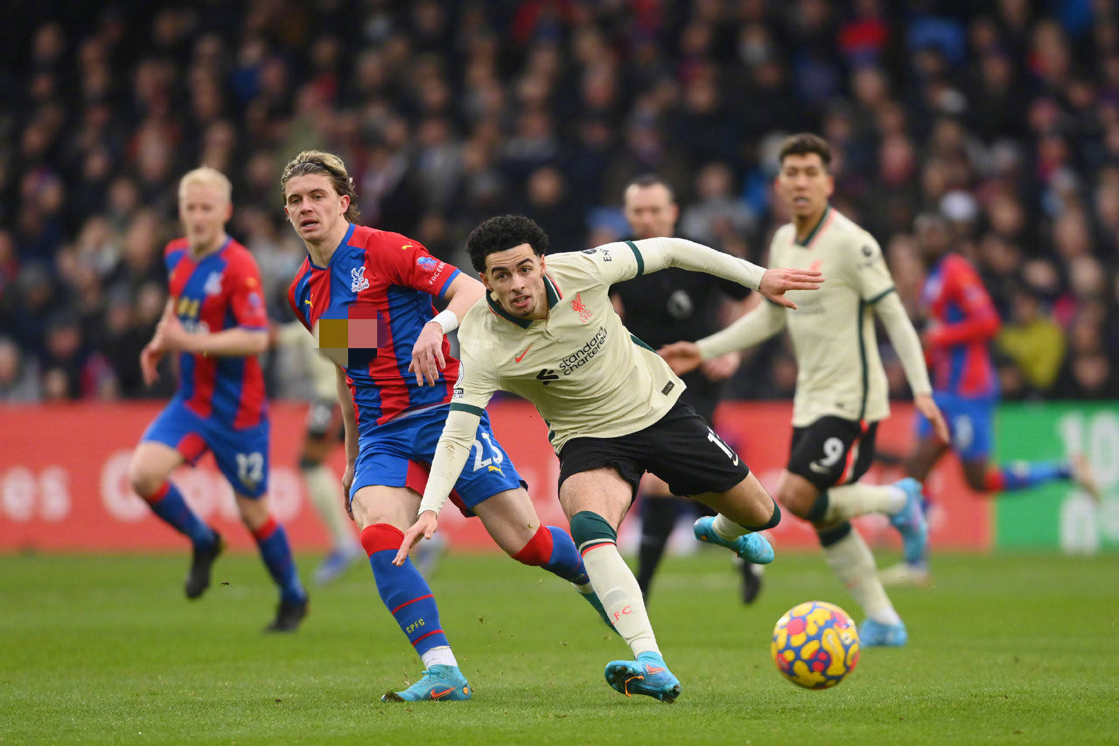 費爾南德斯 費爾南德斯